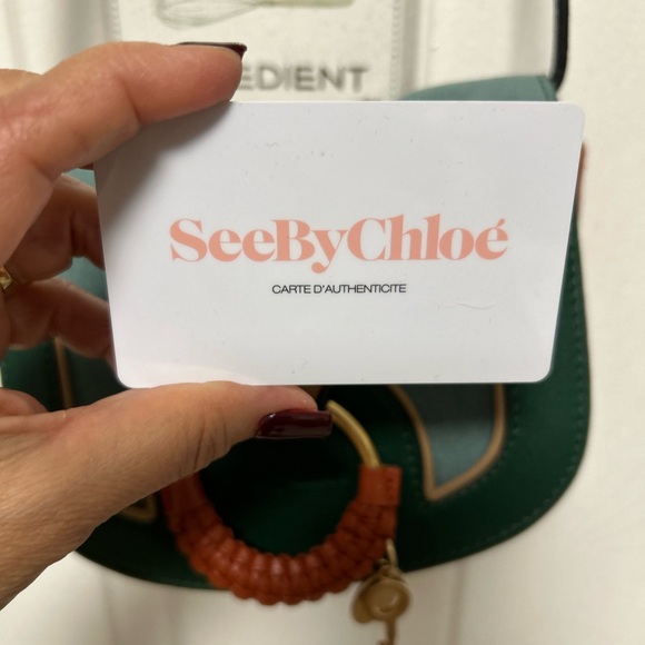 Chloe Mini Leather Crossbody  Bag Brown and Green - Picture 7 of 15